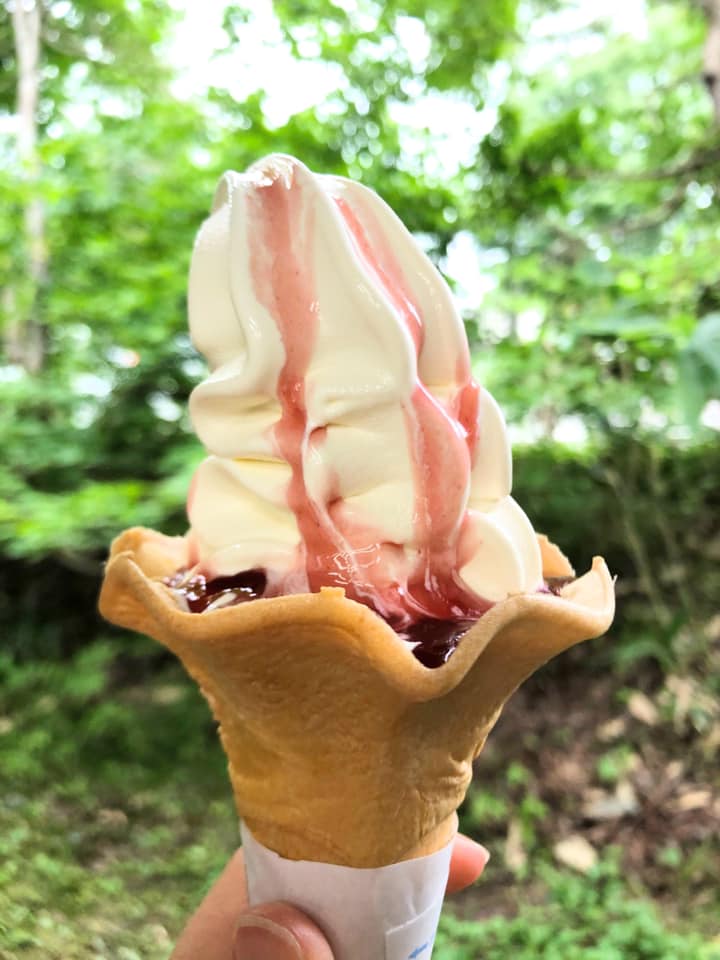 白樺食堂（シラカバショクドウ）&nbsp;ソフトクリーム&nbsp;ラズベリーソースがけ