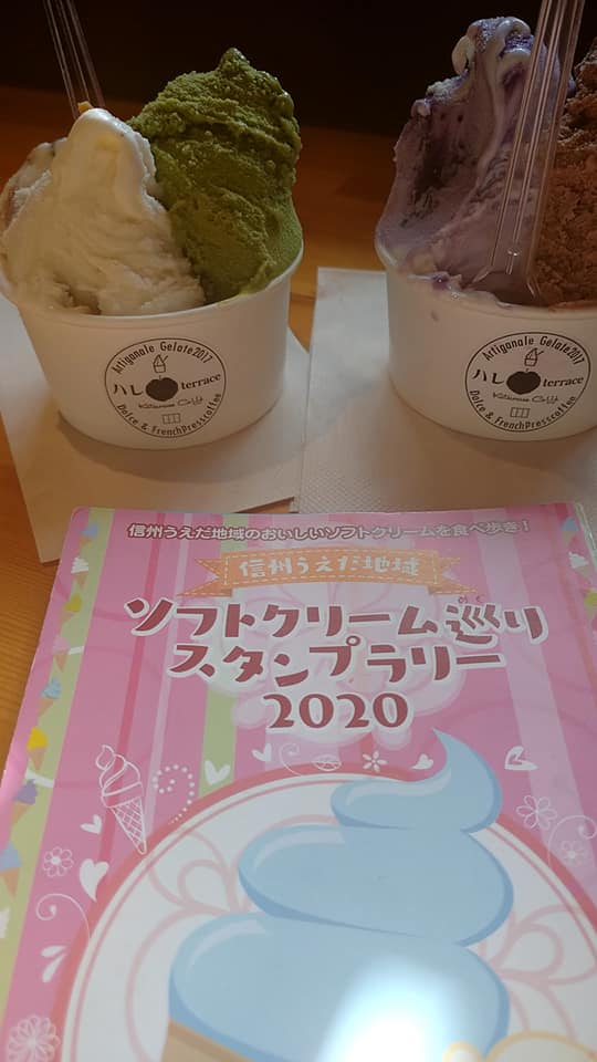 ハレterrace(ハレテラス) アイス・ジェラート 生チョコとグレースヨーグルト