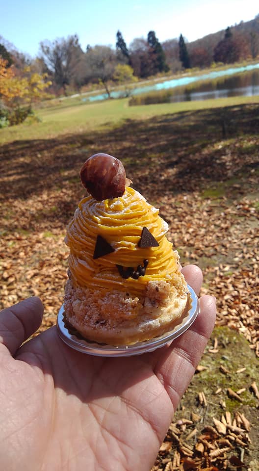 パティスリーヒラノ(cafe HIRANO) ケーキ・タルト カボチャのモンブラン&
季節のチーズケーキ