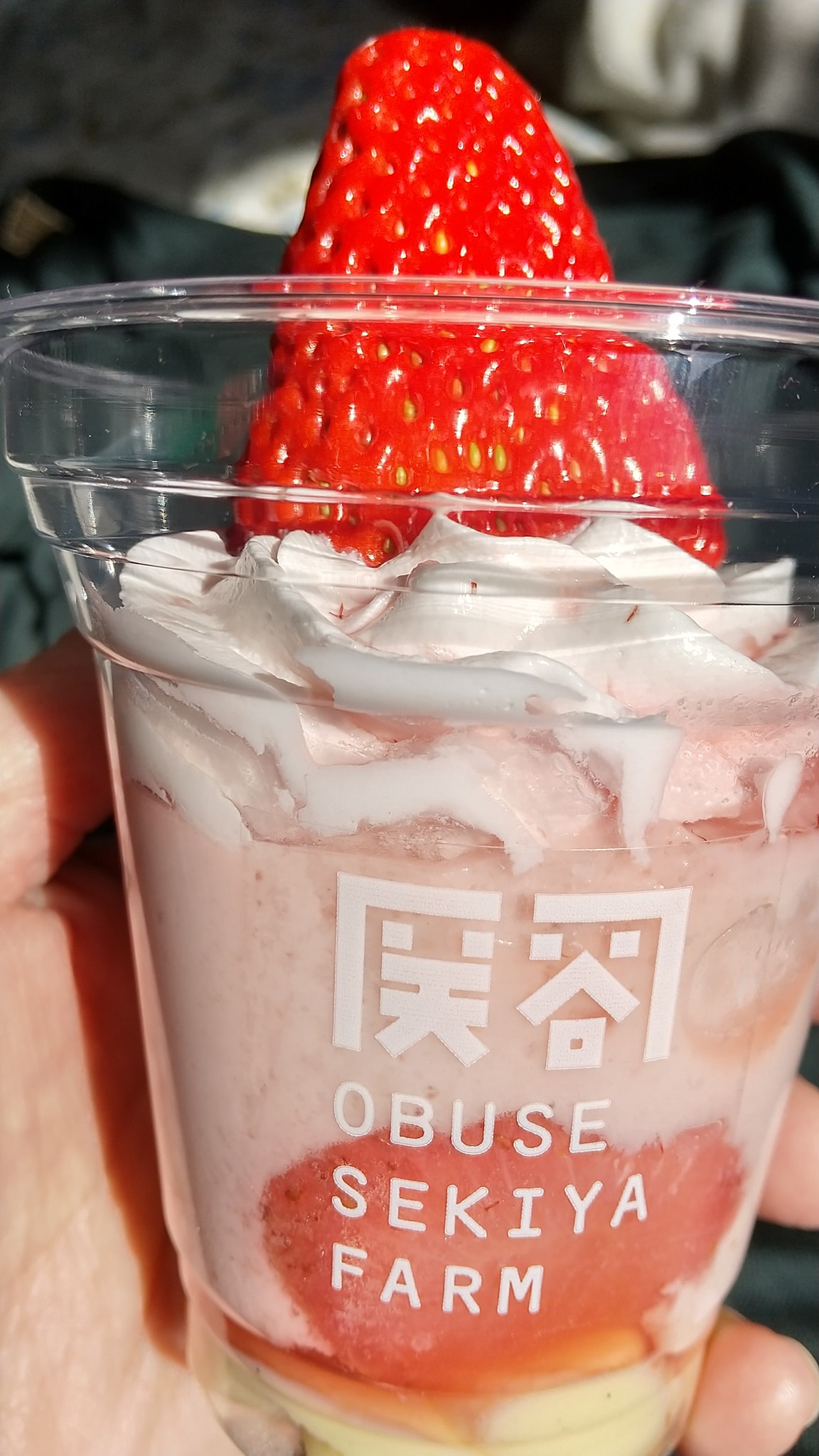 関谷ファーム（セキヤファーム）&nbsp;ムース&nbsp;限定品苺ムース