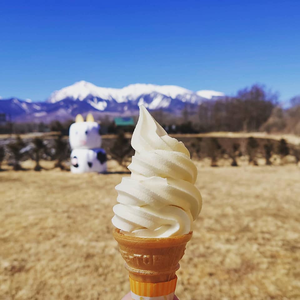ヤツレン乳製品直売所&nbsp;ソフトクリーム&nbsp;ジャージ牛乳ソフトクリーム