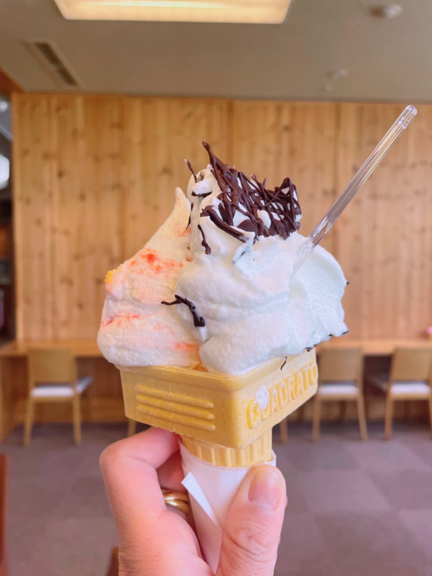 湯っ蔵んど（ユックランド）&nbsp;アイス・ジェラート&nbsp;チョコチップといちごケーキのダブル