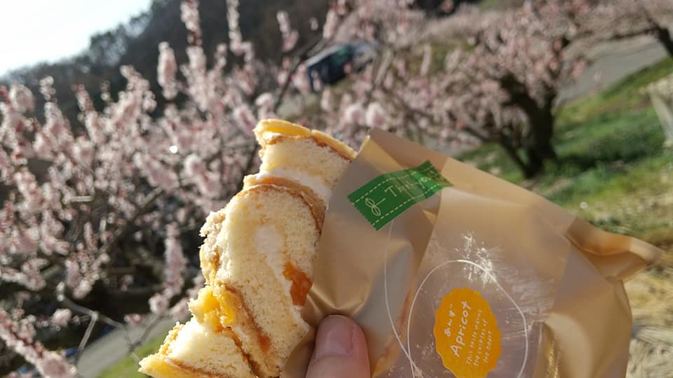 スーパー・コンビニ・その他 ロールケーキ,ソフトクリーム あんず祭スイーツ
