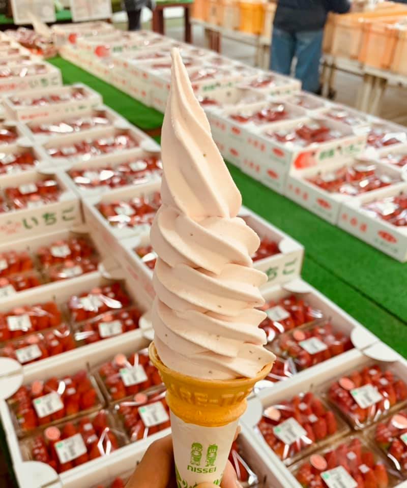 ファーマーズガーデンやまがた ソフトクリーム そのまんま苺