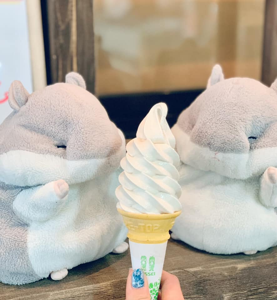 ファーマーズガーデンやまがた ソフトクリーム くるみソフトクリーム