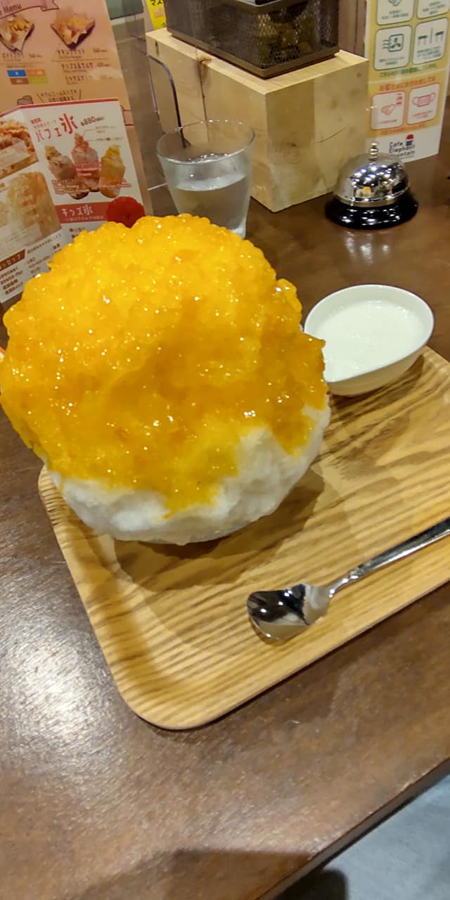 Cafe Elephant Mountain(エレファント マウンテン) かき氷・フラッペ あんずヨーグルト&はくとうみるく