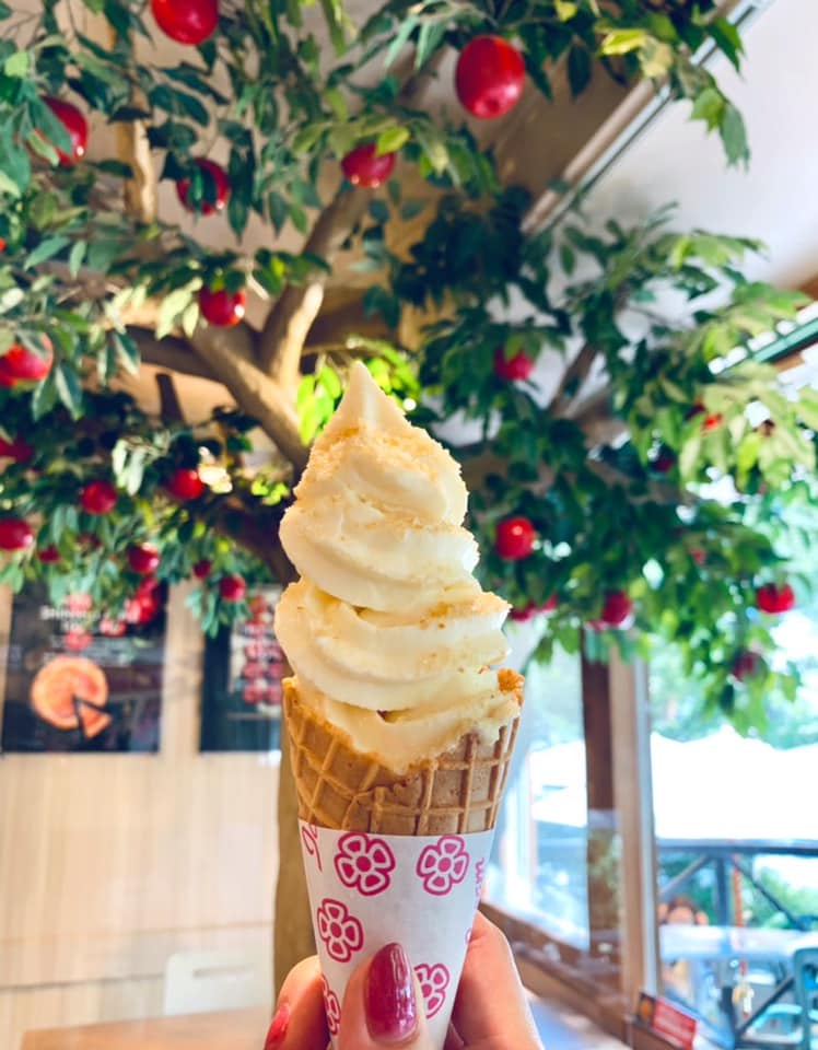 Trois Cinq 上高地(トワサンク カミコウチ) ソフトクリーム 板あめソフトクリーム