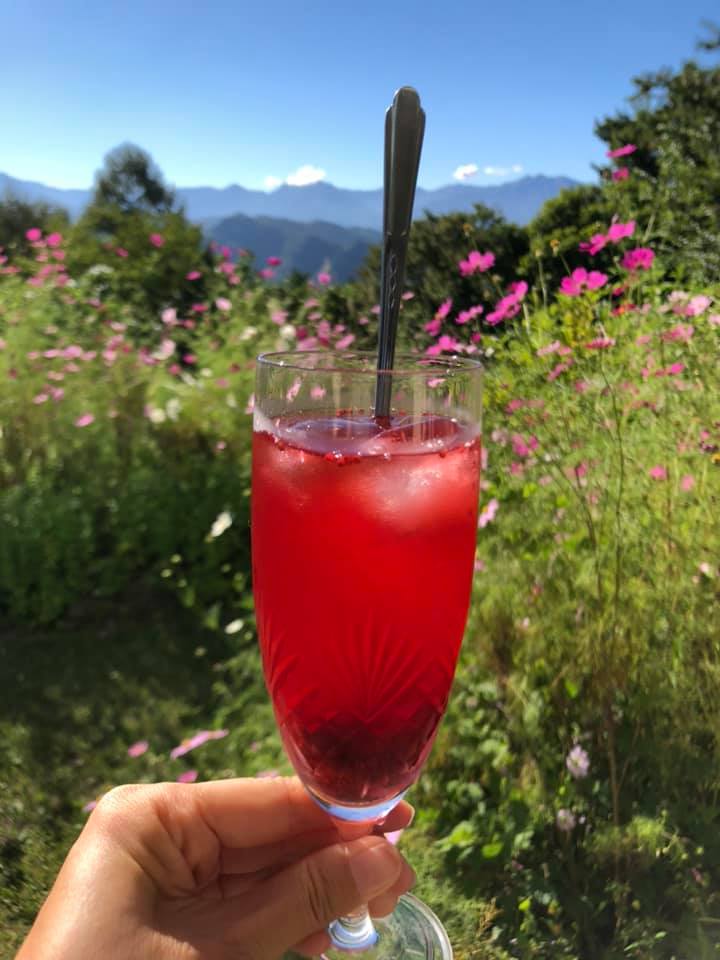 カフェテラス モモ&nbsp;ドリンク&nbsp;完熟梅と桑の実のミックスジュース