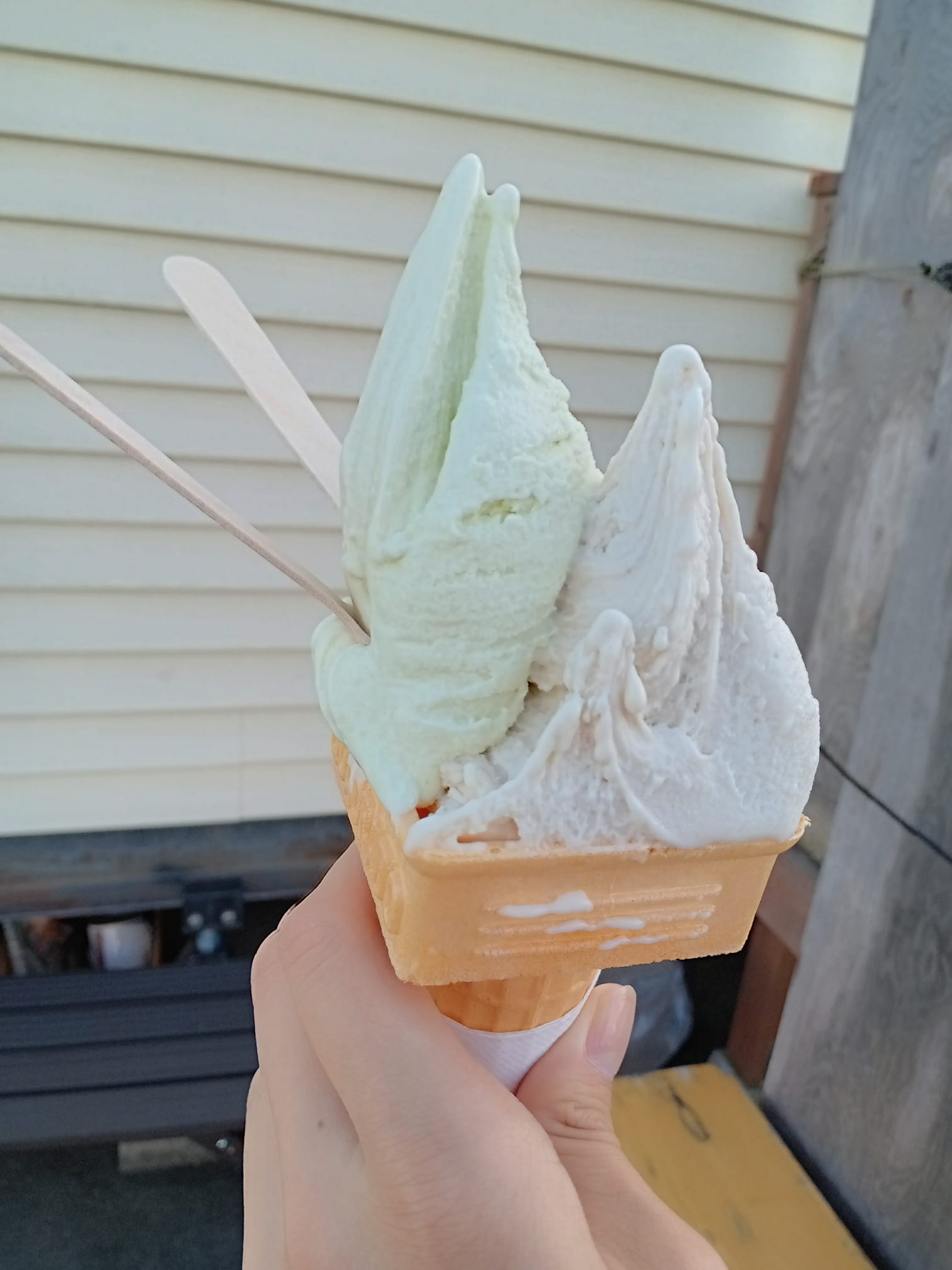 信州ジェラート with（ウィズ）&nbsp;アイス・ジェラート&nbsp;栗と枝豆のダブル