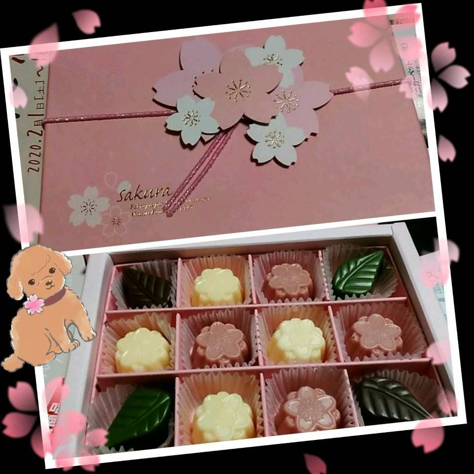 ながの東急百貨店(ナガノトウキュウヒャッカテン) チョコレート FURANSUYAのチョコレート