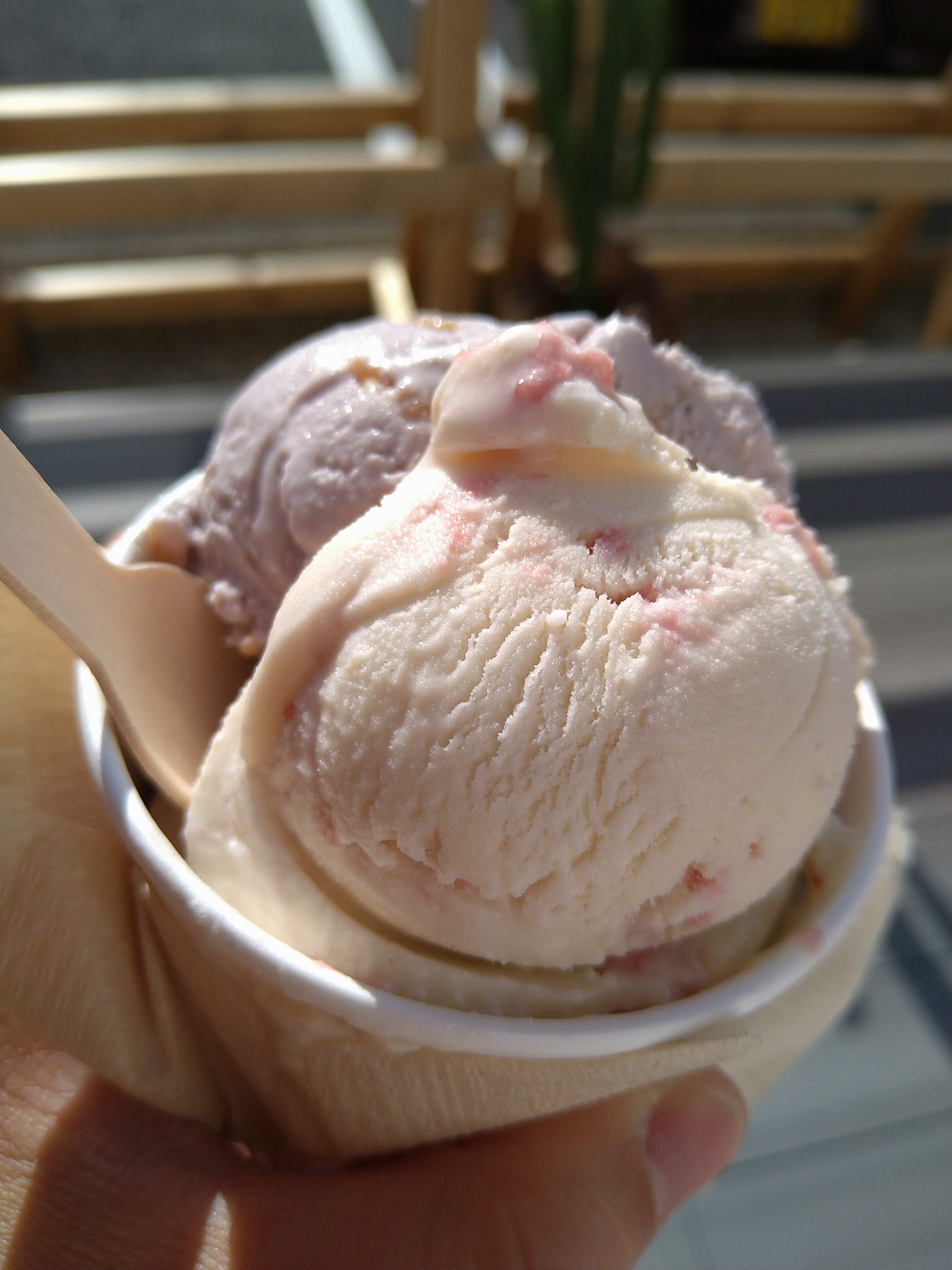 マウント デザート アイランド アイスクリーム アイス・ジェラート 桜とブルーベリーサワークリームクランブル