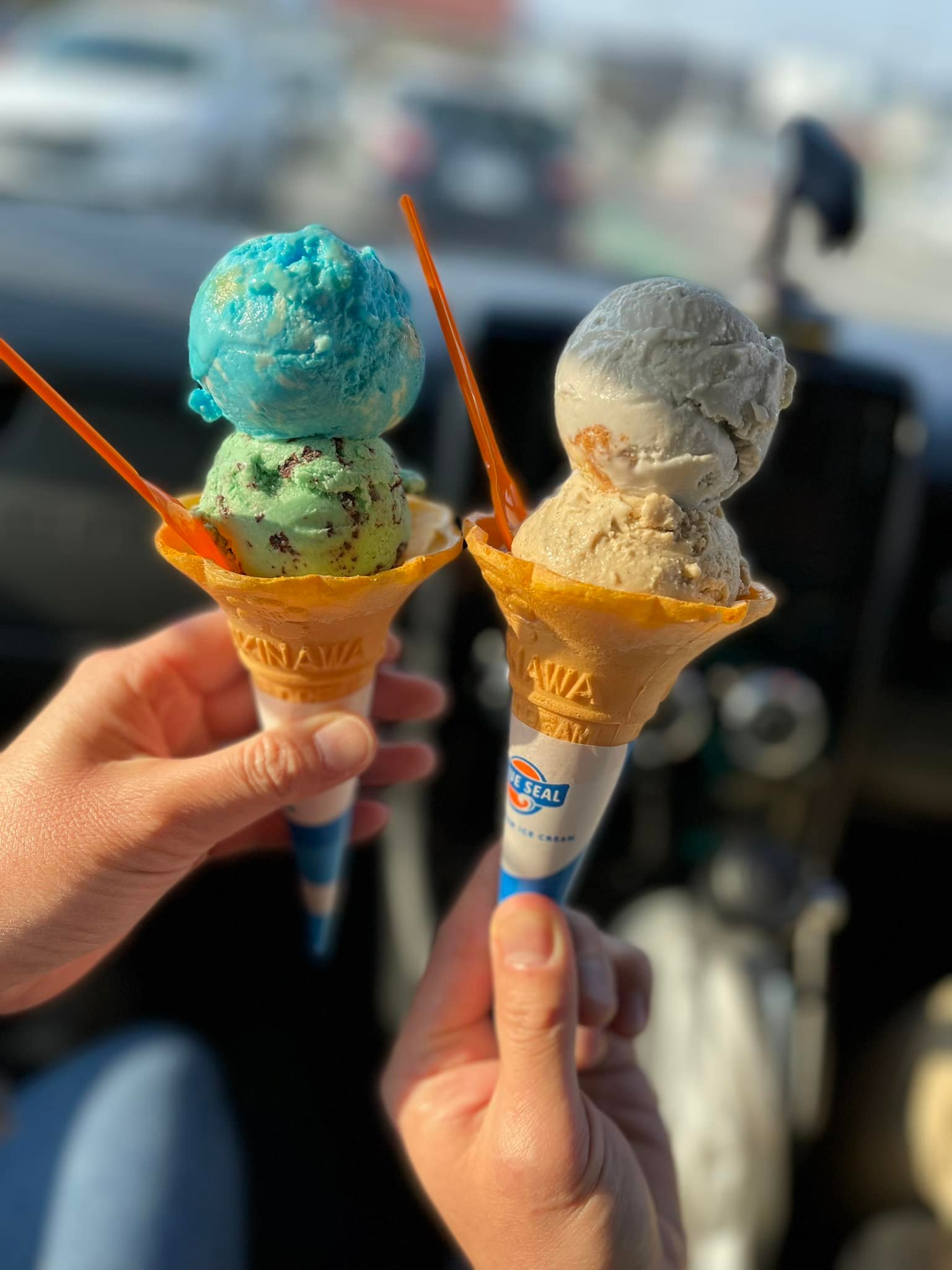 BLUE SEAL(ブルーシールアイスクリーム) アイス・ジェラート ブルーシールズのアイス