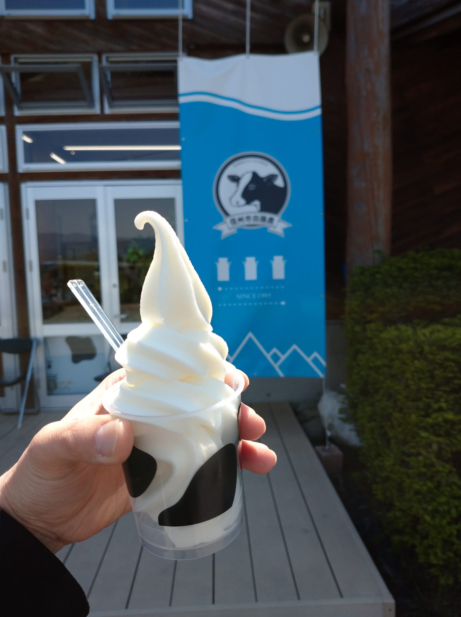 信州市田酪農 ソフトクリーム 幻のソフトクリーム