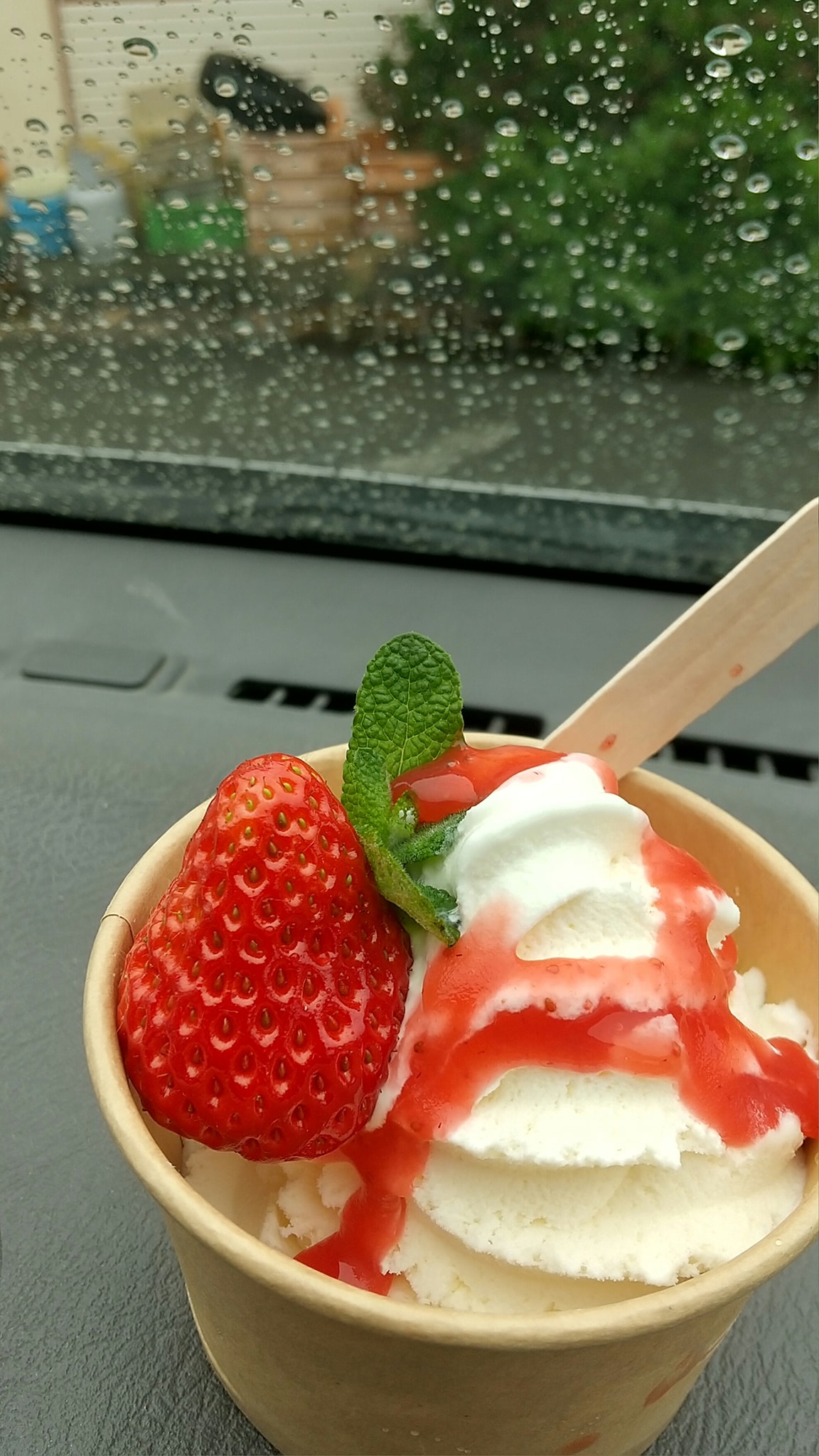 関谷ファーム(セキヤファーム) アイス・ジェラート いちごアイス