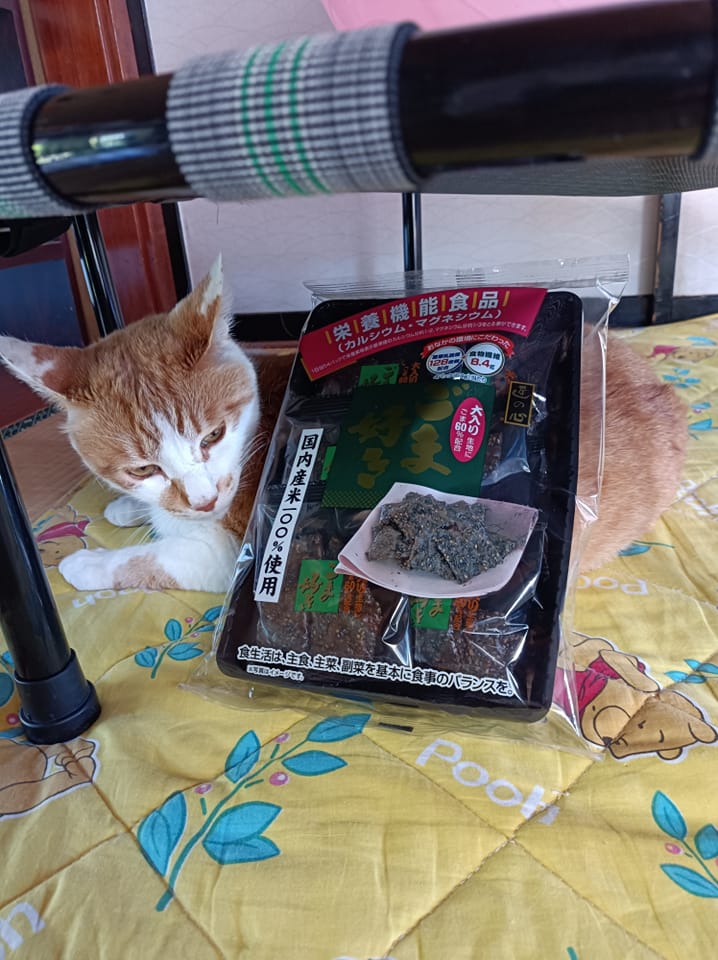 スーパー・コンビニ・その他&nbsp;煎餅&nbsp;ごま好き