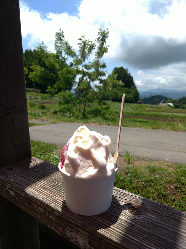 Gelateria SUONO アイス・ジェラート 塩キャラメルとクリームチーズブルーベリーのダブル