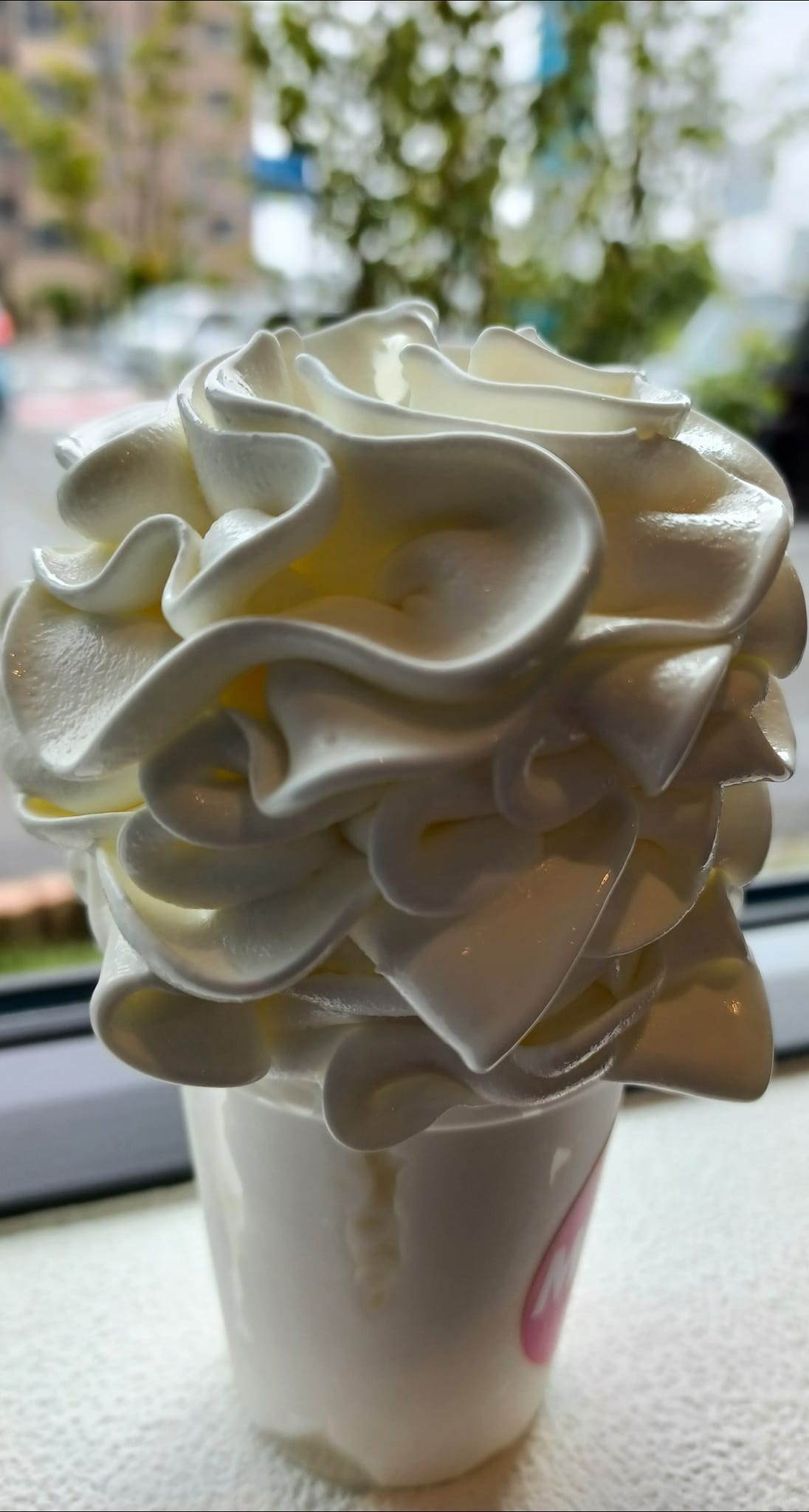 軽井沢トルタ アイス・ジェラート モコ