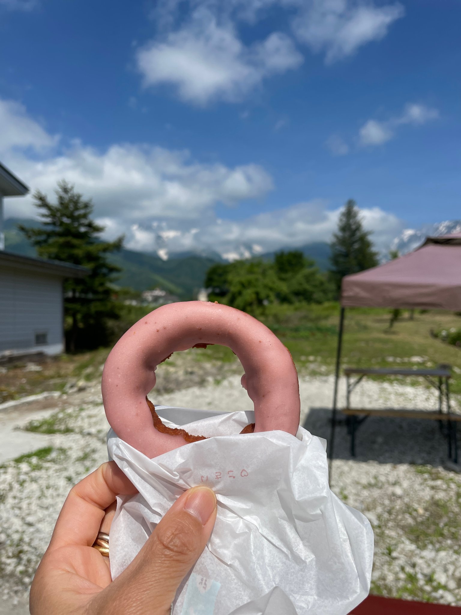 OTTO donuts hakuba ドーナツ いちごのドーナツ