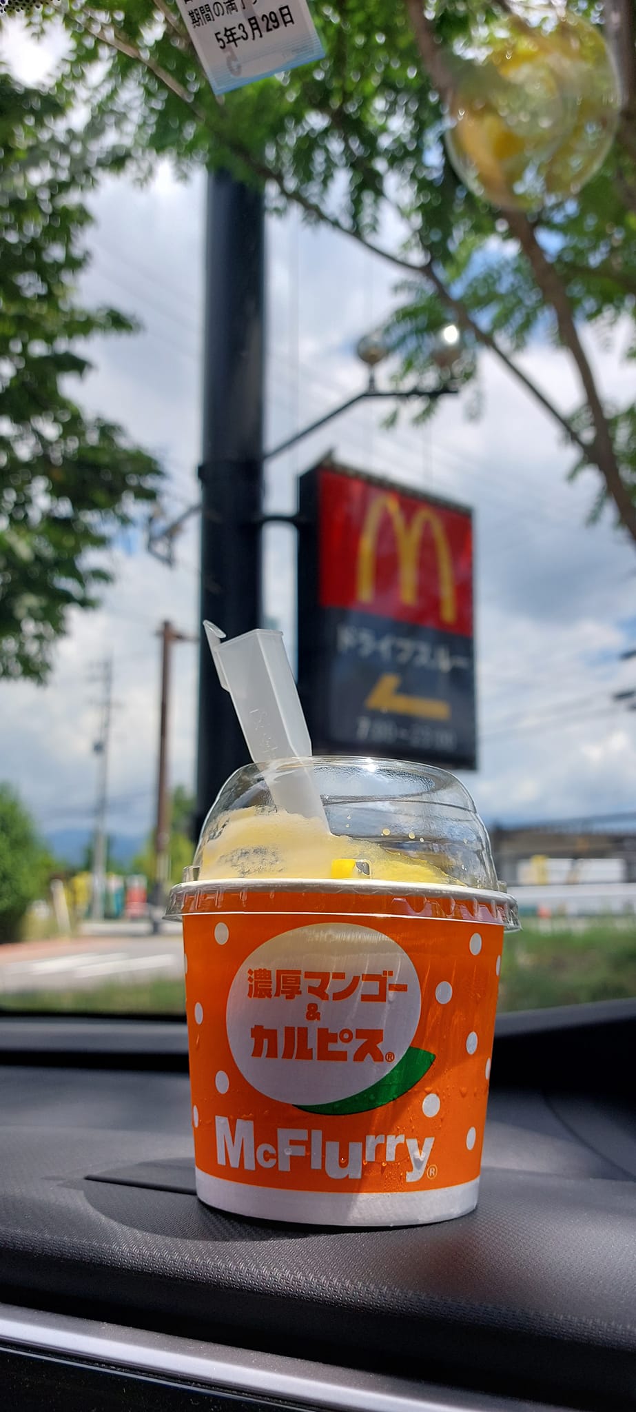 マクドナルド(McDonald's) アイス・ジェラート マックフルーリー