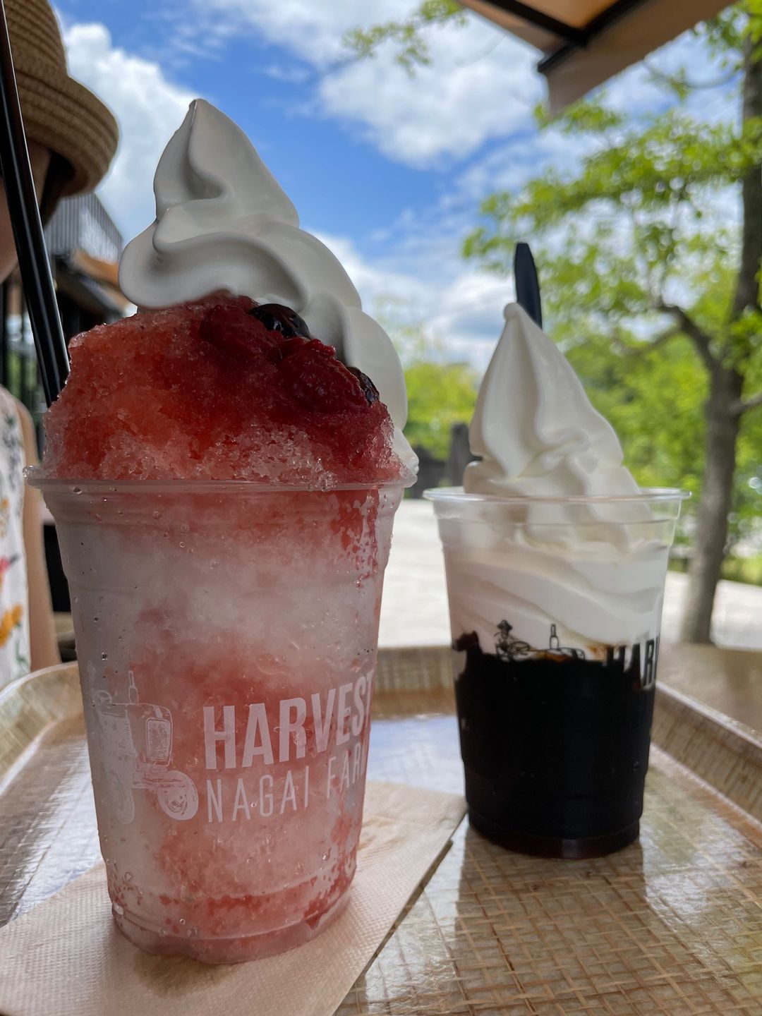 HARVEST NAGAI FARM(ハーヴェスト・ナガイファーム) かき氷・フラッペ,ソフトクリーム かき氷ソフト&コーヒーゼリーソフト