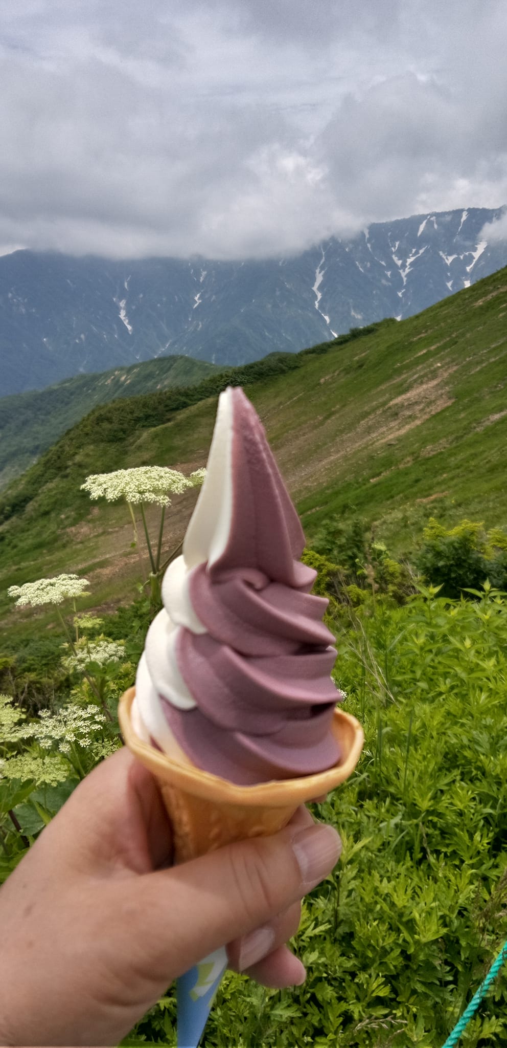 村営八方池山荘(ハッポウイケサンソウ) ソフトクリーム バニラとブルーベリーのミックス