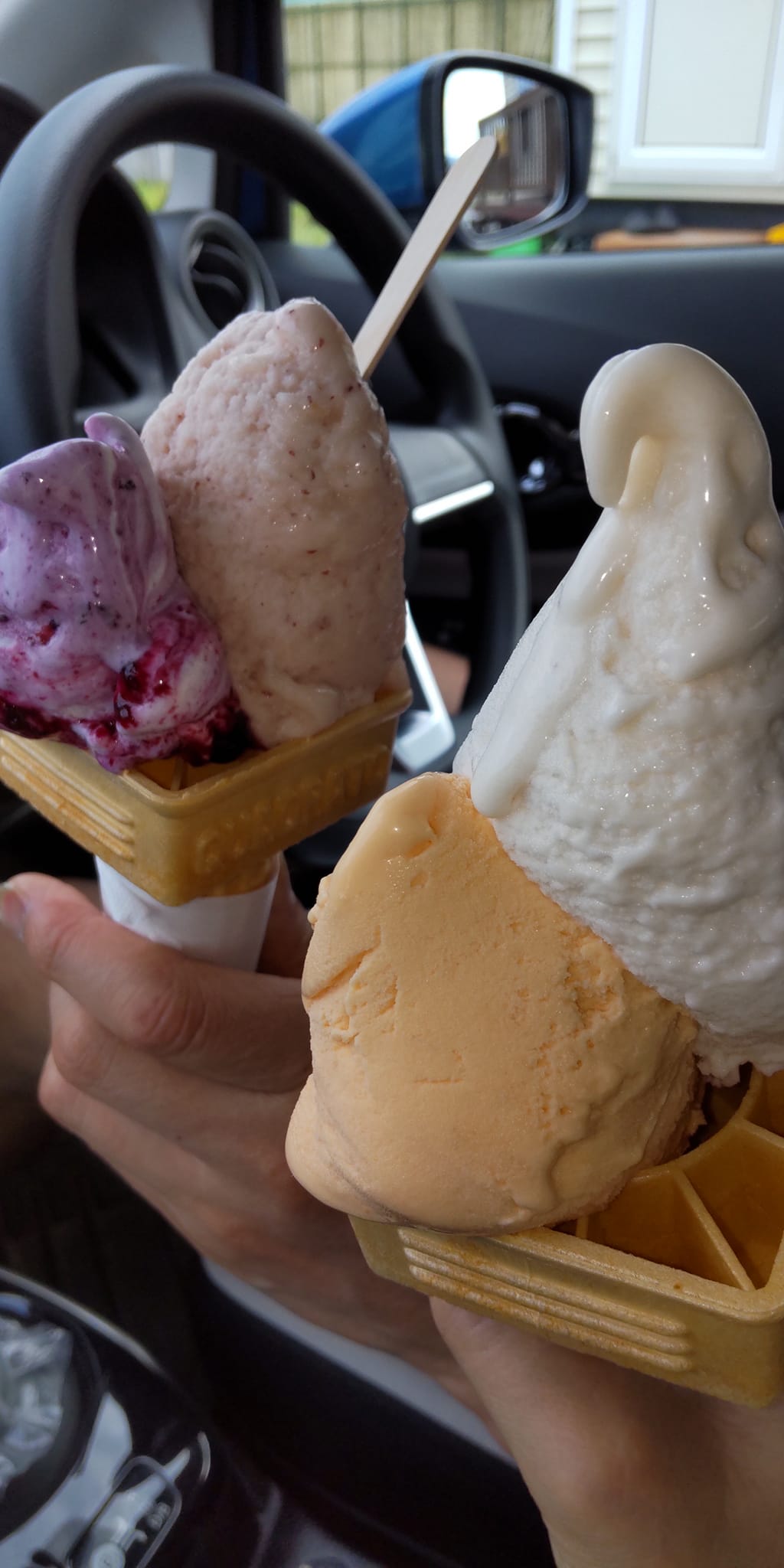 信州ジェラート with(ウィズ) アイス・ジェラート あきつきとブルーベリーヨーグルト