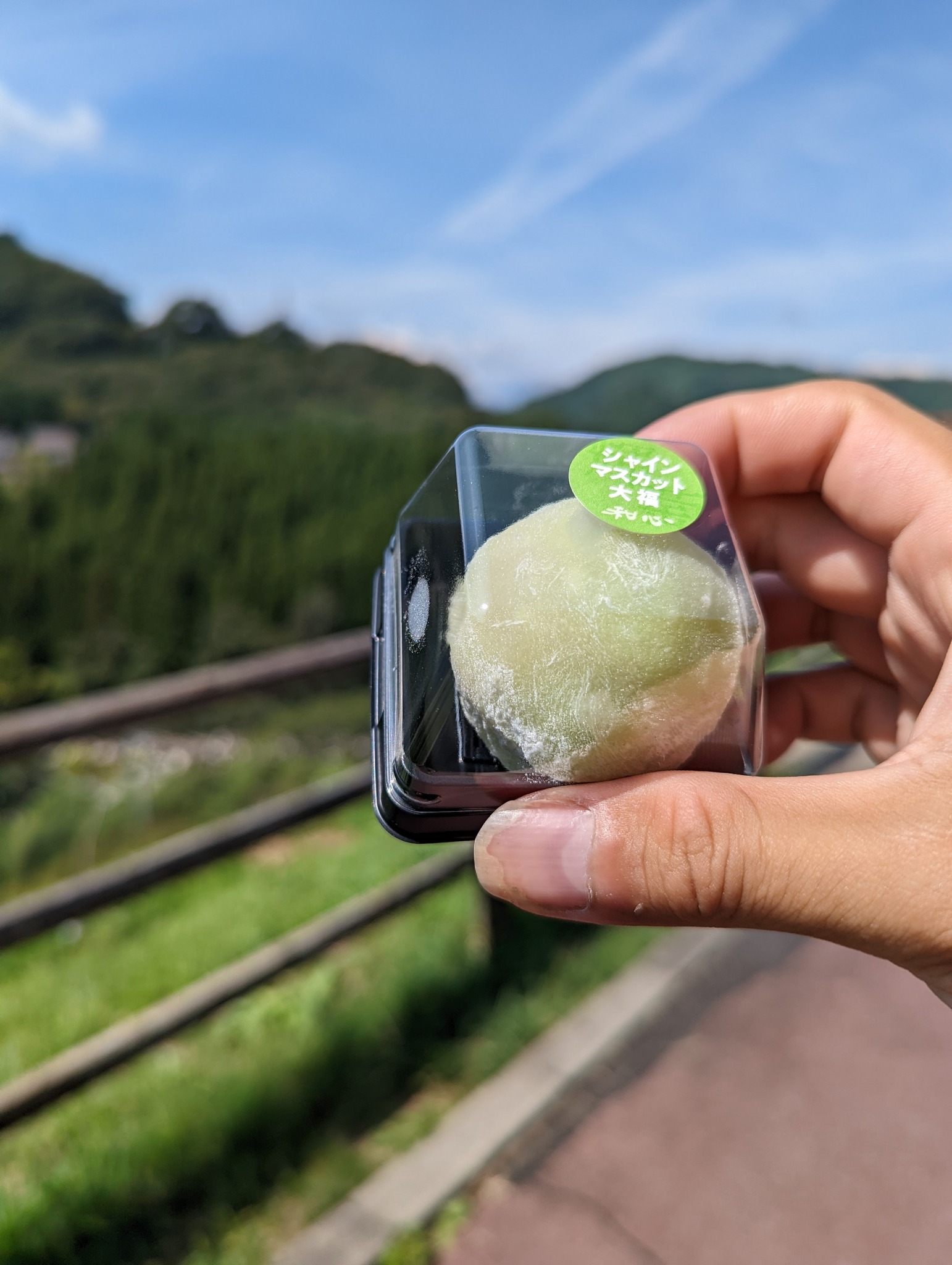 菓子処 和心 大福 シャインマスカット大福(220円)を