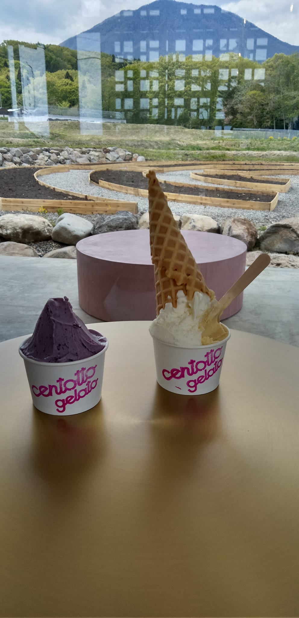 CENTOTTO GELATO&nbsp;アイス・ジェラート&nbsp;なつはぜタルト&黒姫高原牛乳ととうもろこしのダブル