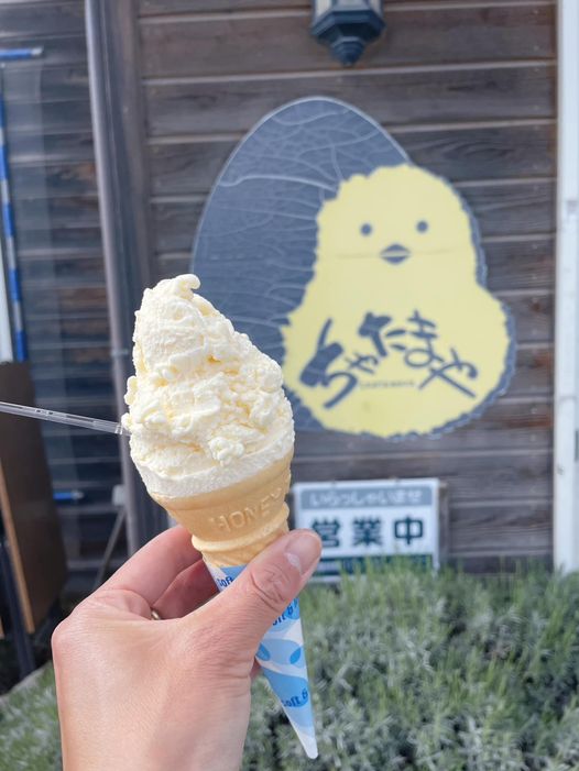 ちゃたまや アイス・ジェラート さくらたまごのジェラート