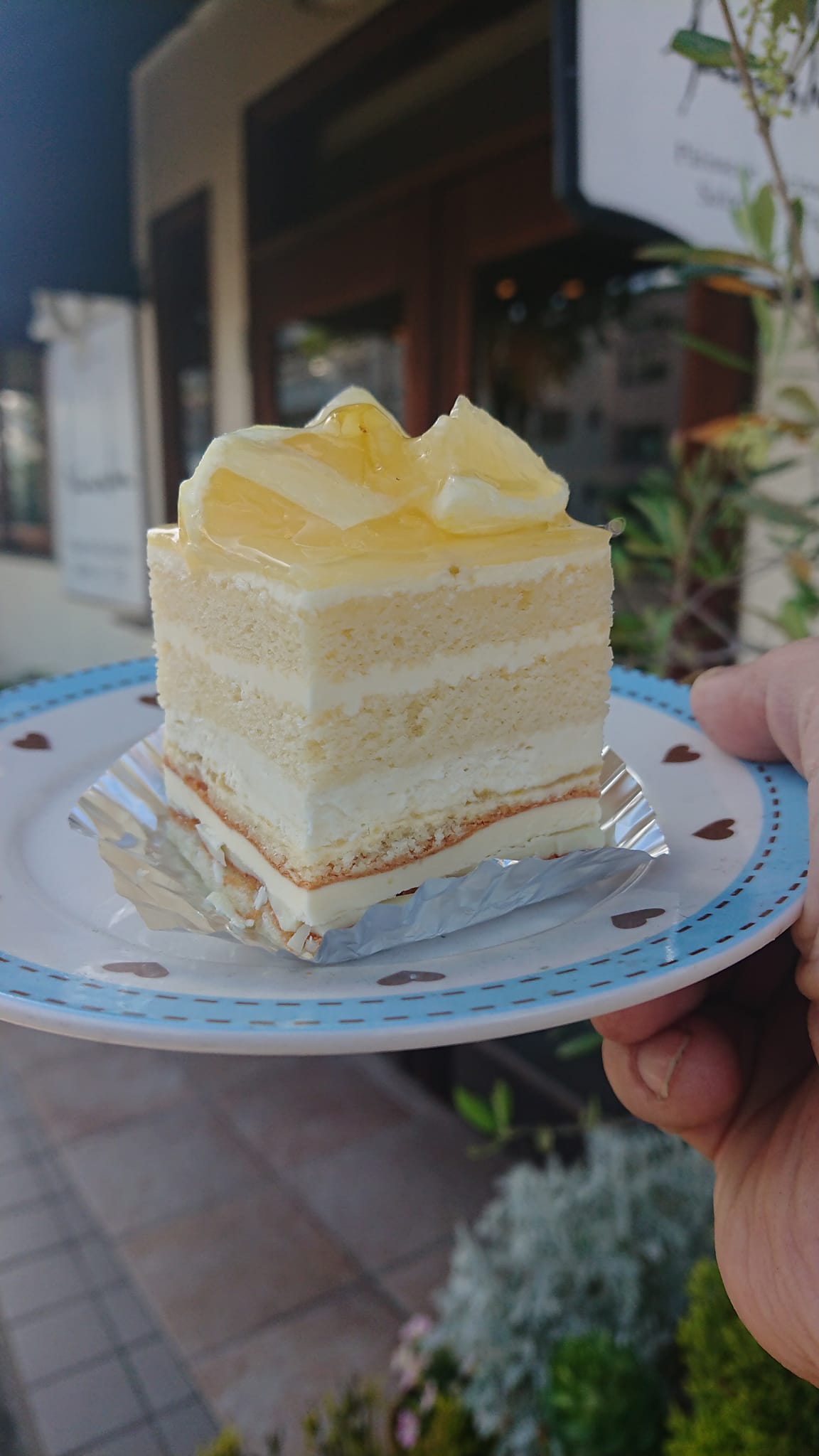 KEINOSHIN（ケイノシン）&nbsp;ケーキ・タルト&nbsp;レモンのオペラ