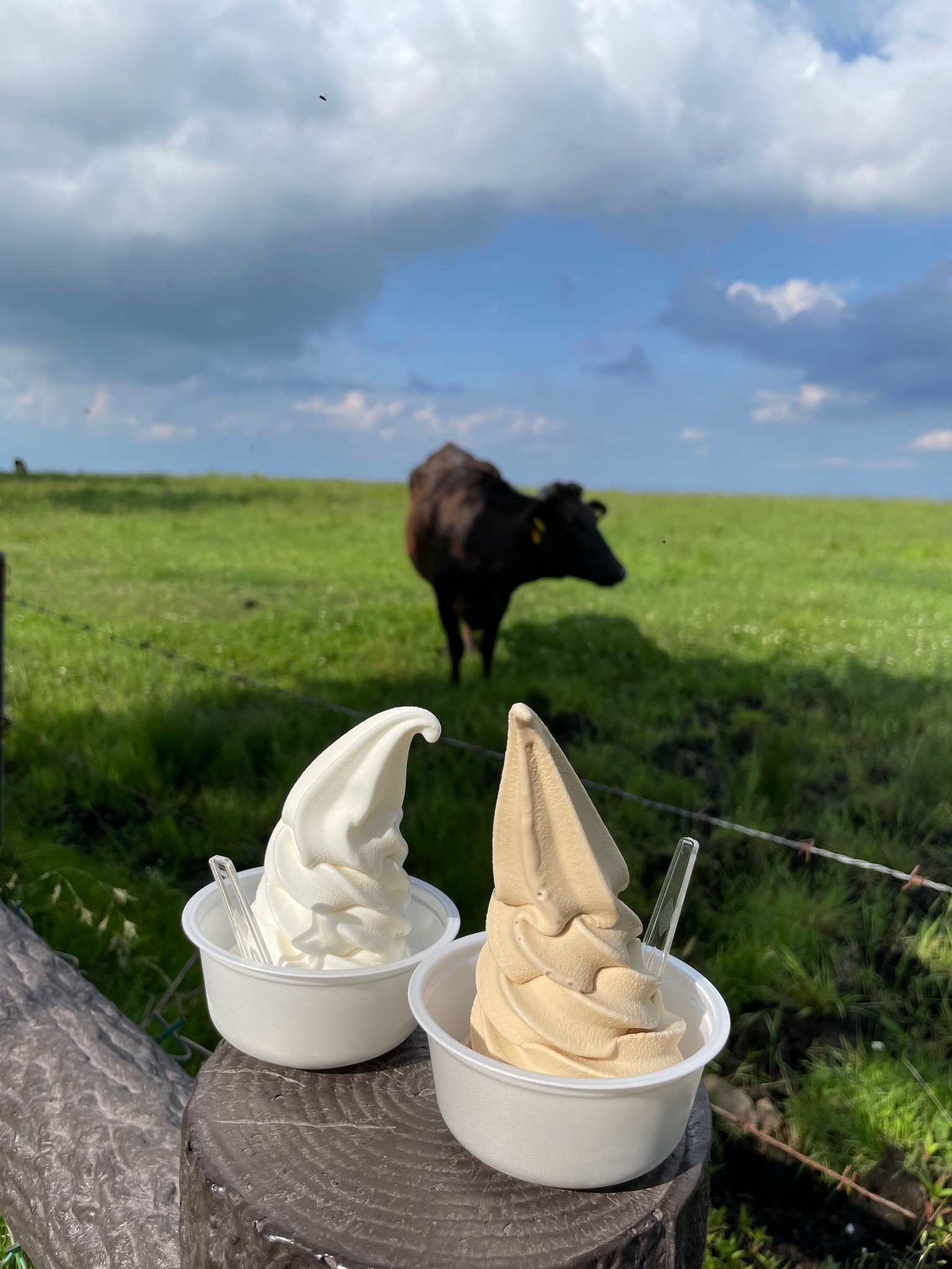 牛乳専科もうもう ソフトクリーム 牛乳ソフトクリーム&コーヒー牛乳ソフト