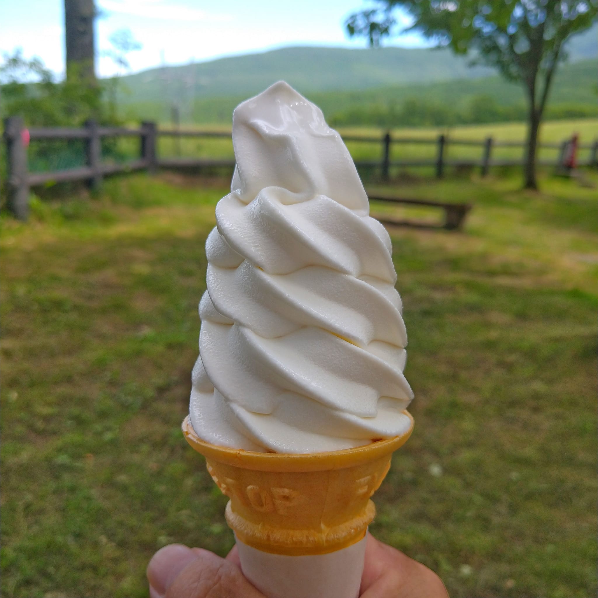 牛乳専科もうもう&nbsp;ソフトクリーム&nbsp;ソフトクリーム