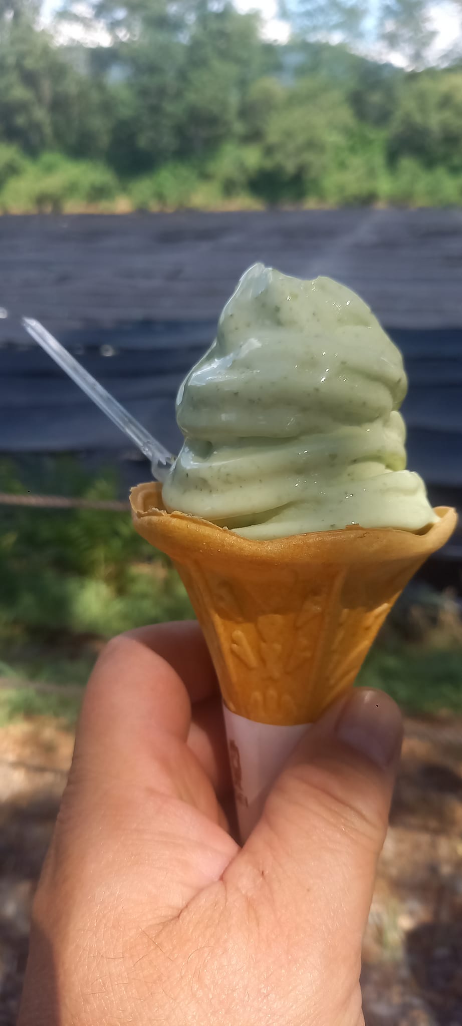 大王わさび農場(ダイオウワサビノウジョウ) ソフトクリーム ワサビソフトクリーム