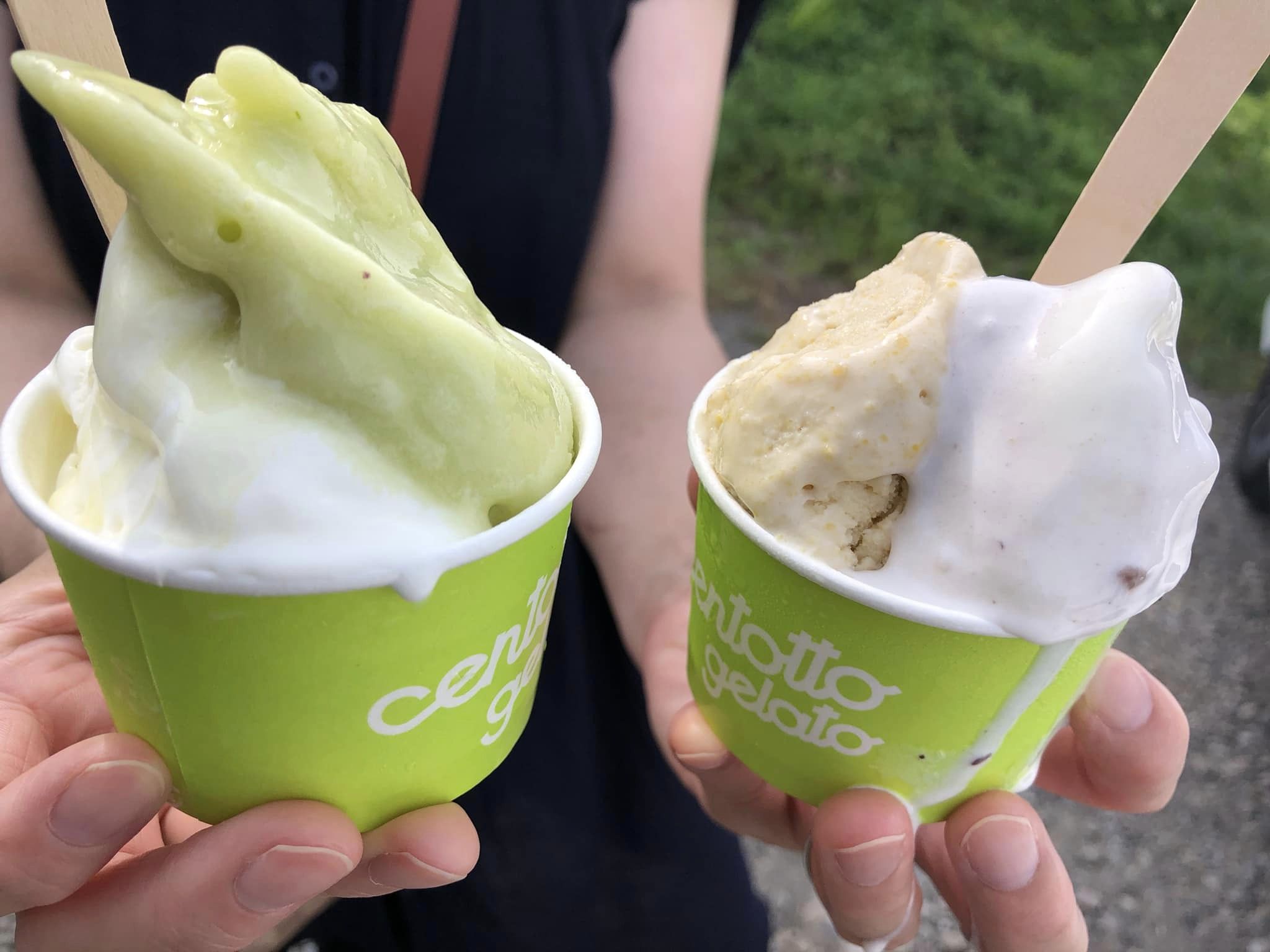 CENTOTTO GELATO アイス・ジェラート 黒姫高原牛乳とセロリのダブル&とうもろこしと花豆のダブル