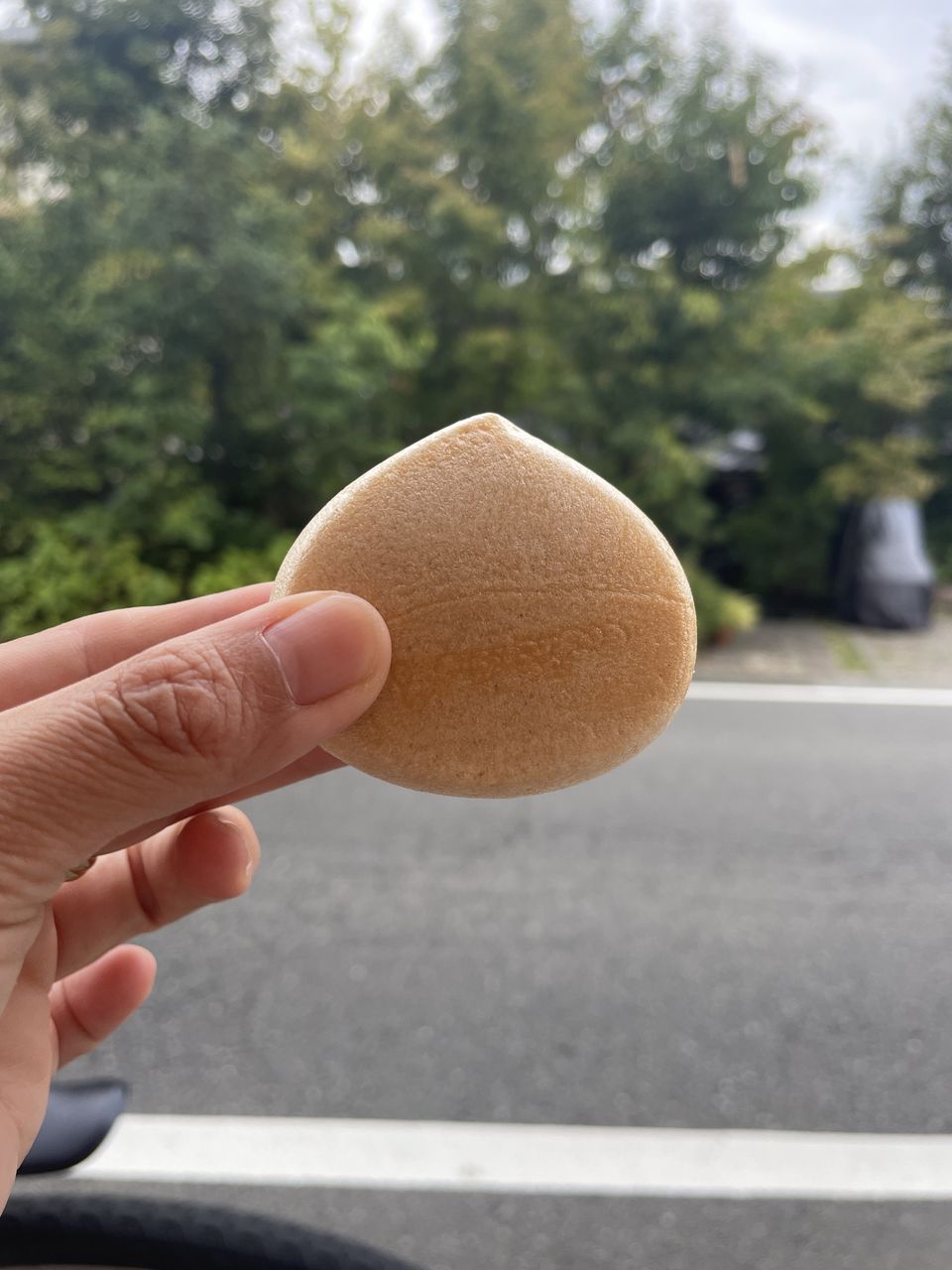 塩屋櫻井 最中 生栗もなか