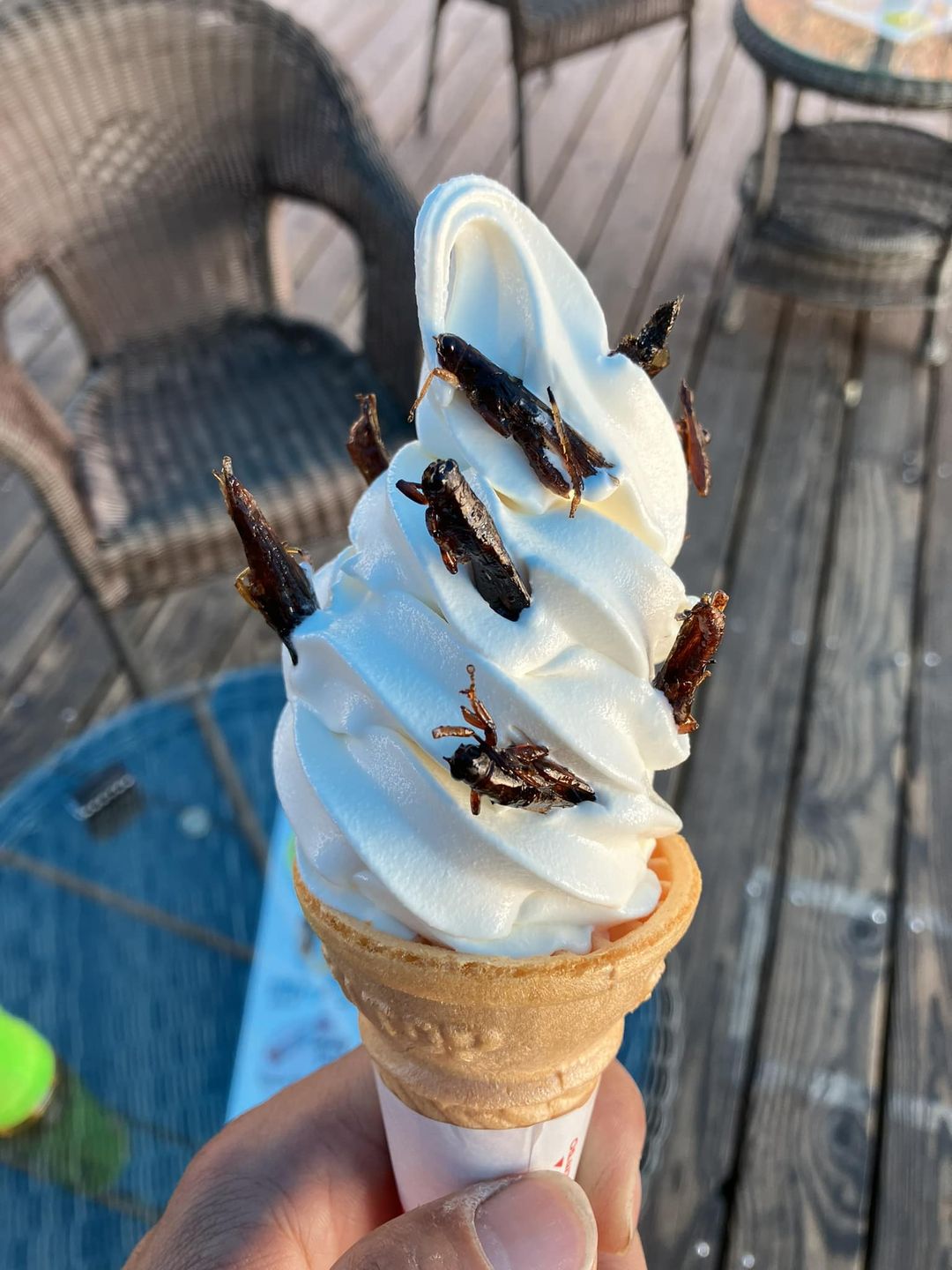 諏訪湖観光汽船(スワコカンコウキセン) ソフトクリーム イナゴソフトクリーム