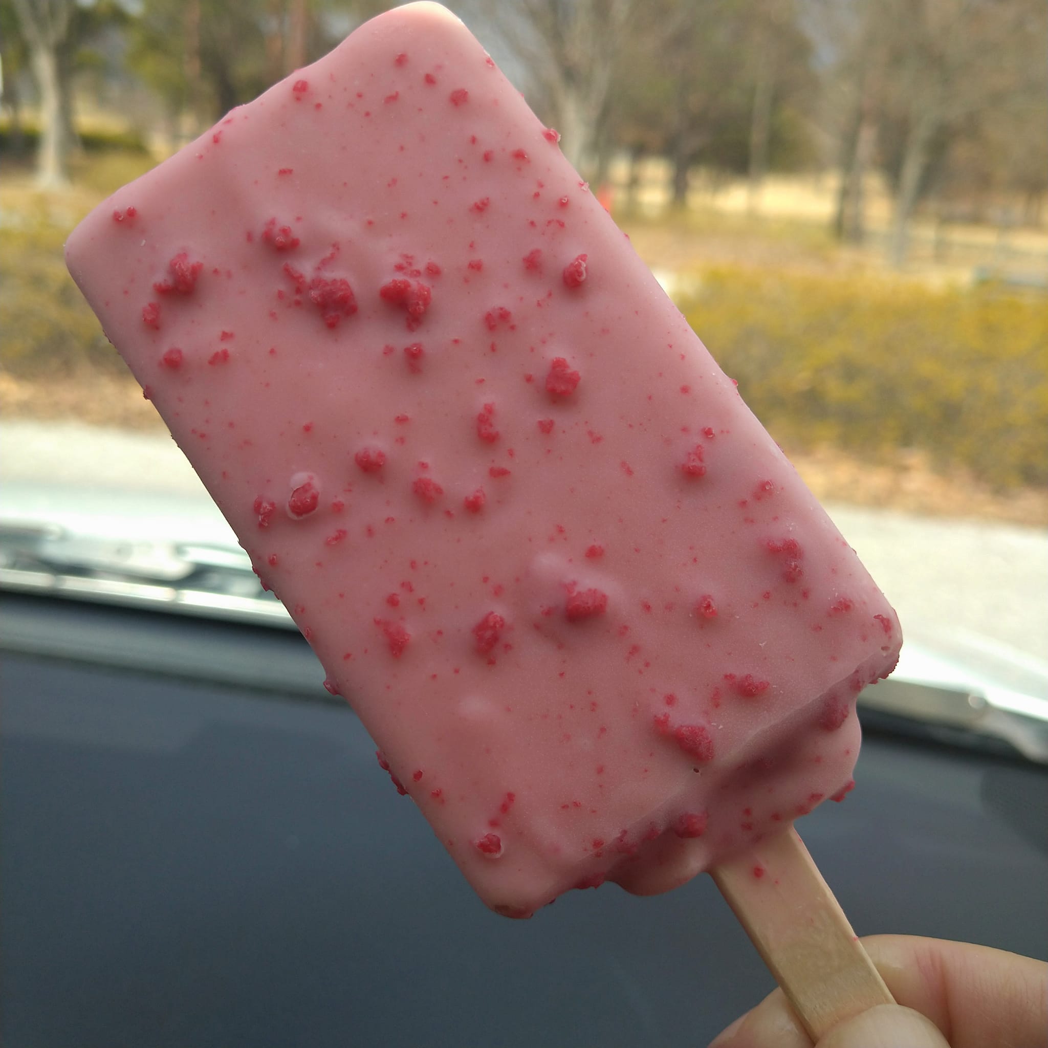 セブンイレブン&nbsp;アイス・ジェラート&nbsp;ストロベリーチョコレート